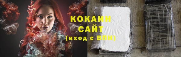 гидра Армянск