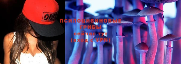 гидра Армянск