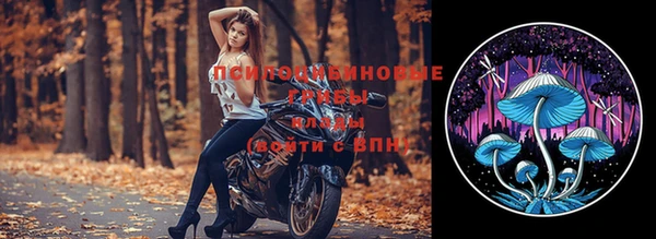 бутират Аркадак