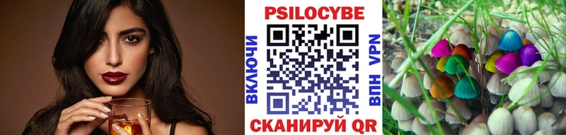 omg зеркало  Курганинск  Псилоцибиновые грибы Cubensis 